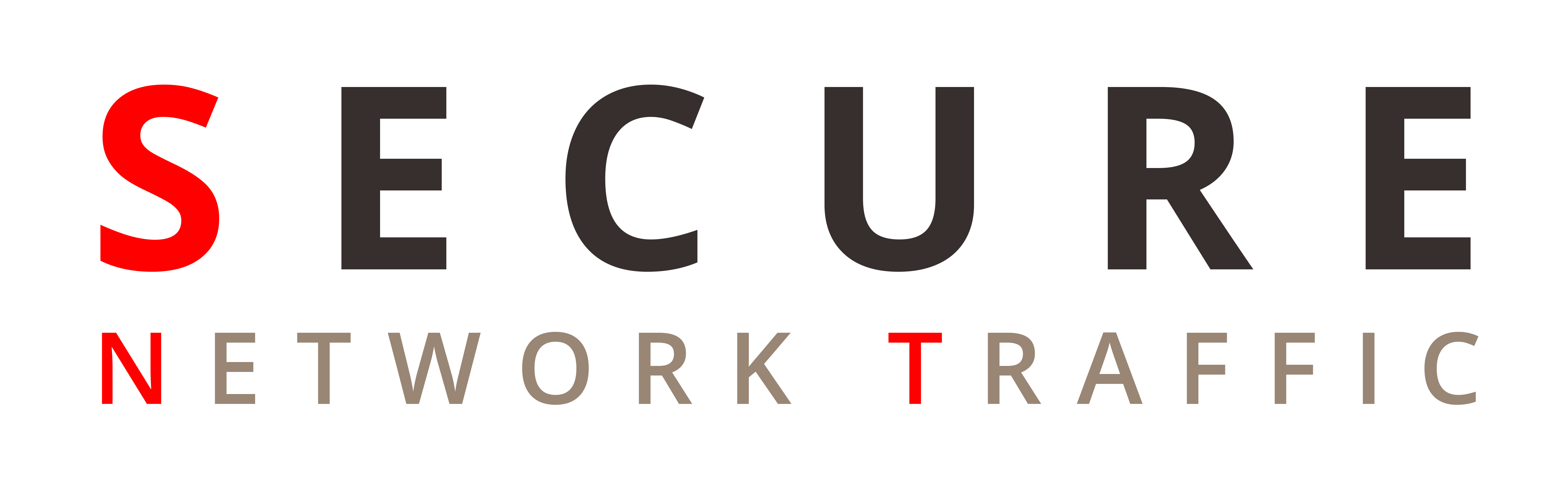 Secure Network Traffic logo